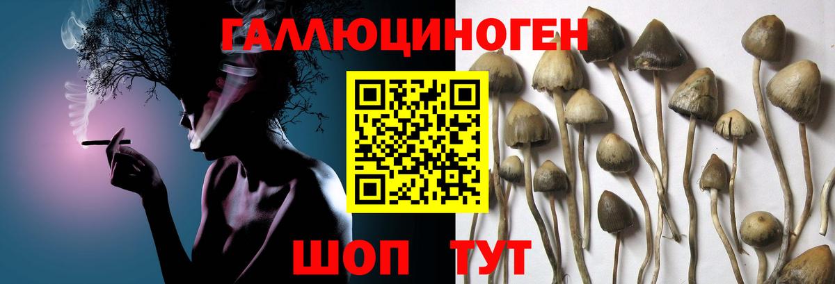 Галлюциногенные грибы ЛСД  Вход с VPN  Гулькевичи 